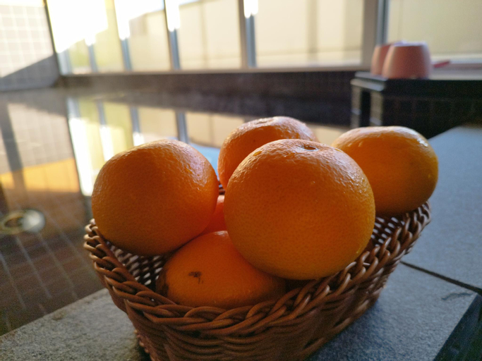 Food & Drinks 5, Hotel Shin Imamiya, Osaka