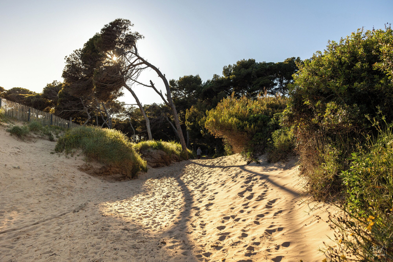 Others 5, Villa Vue Mer 180 - Face aux îles d’Or, Var