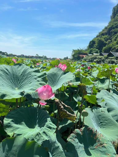 Others 5, Chay Mountain Retreat Ninh Binh, Hoa Lư