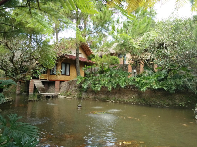 Scenery 8
