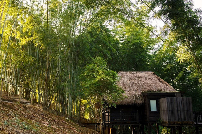 Scenery 14
