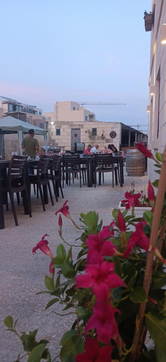 Food & Drinks 4, Ta' Gingel Farm Agriturisim B&B. Malta, Saint Paul's Bay