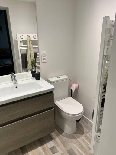 Bathroom 3, Loft Relais Cœur de France climatise - 3ch - 2SDB, Cher
