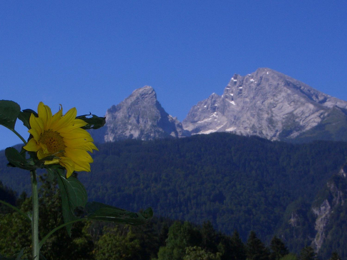 Others 5, Ferienwohnungen Ingrid Schillmeier, Berchtesgadener Land