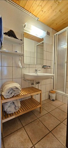 Bathroom 2, Miramont Horse Trekking Hostel, Moutier