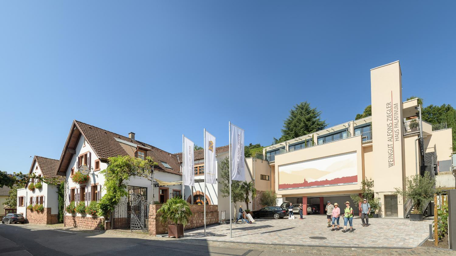 Das Palatinum, Südliche Weinstraße