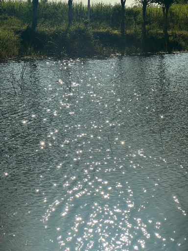 Scenery 6