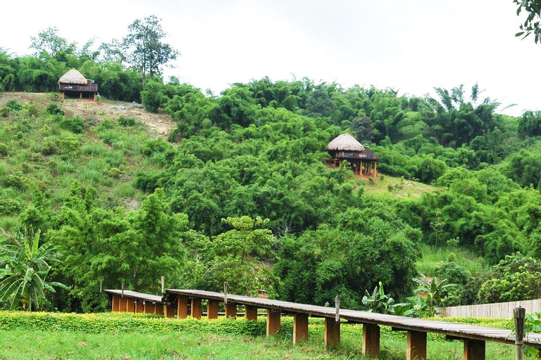 Scenery 5