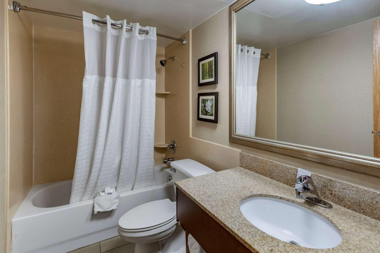 Bathroom 4, Comfort Inn Lansing West, Eaton