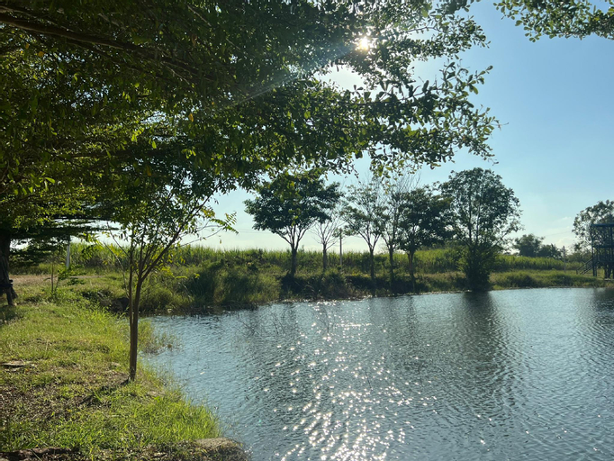 Scenery 7
