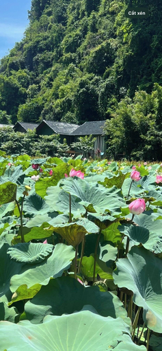 Others 5, Chay Mountain Retreat Ninh Binh, Hoa Lư