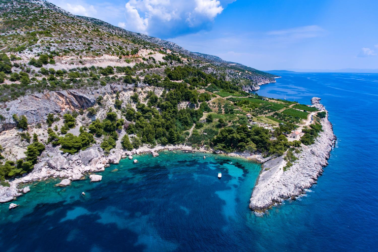 Others 4, Apartments by the sea Cove Zarace - Hvar - 20924, Hvar
