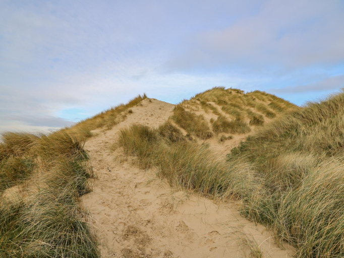 Others 4, Ystwyth 26, Ceredigion
