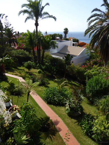 Others 4, Villa Erika Madeira, Santa Cruz