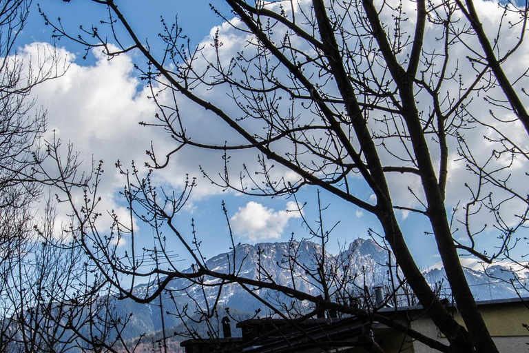 Others 4, Apartament Owcze Runo Zakopane, Tatra