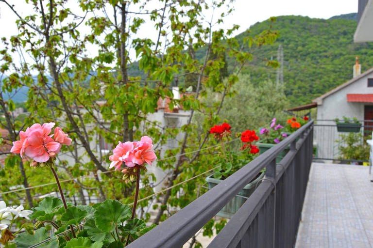 Others 5, Tivat Apartments