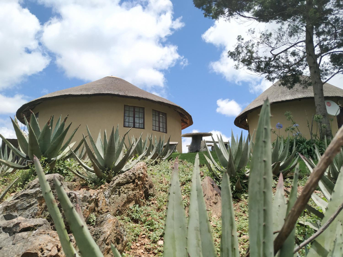 Others 2, Mountain Aloe Den, Gert Sibande