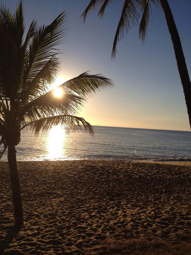 Others 2, Famous Beach-front Dome @ Trinity Beach; Sleeps 4, Cairns