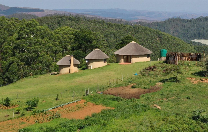 Others 5, Mountain Aloe Den, Gert Sibande