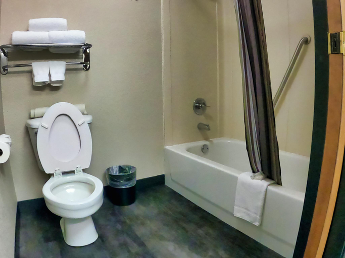 Bathroom 4, La Quinta Inn & Suites by Wyndham Springfield South, Greene
