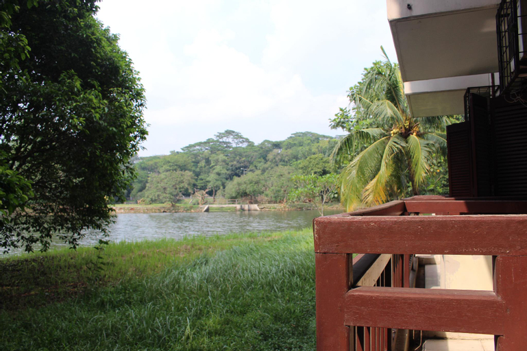Scenery