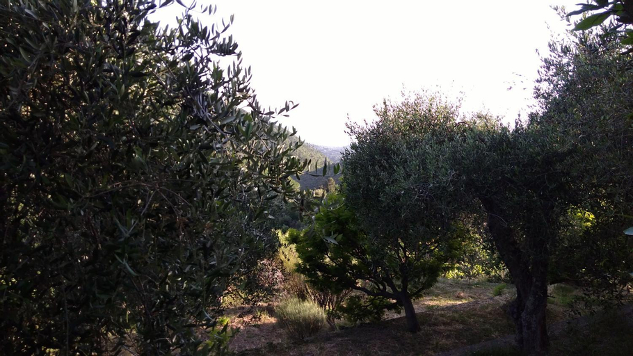 Exterior & Views 3, la porta del sole appartamento nell'oliveto, Imperia
