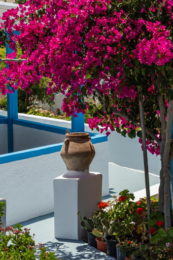 Others 5, Ancient Thera Apartments, South Aegean