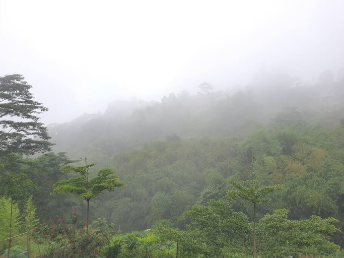 Scenery 13
