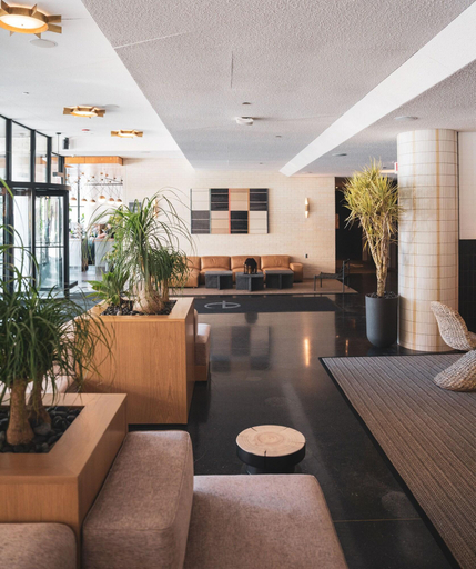 Public Area 4, The Emily Hotel, Cook