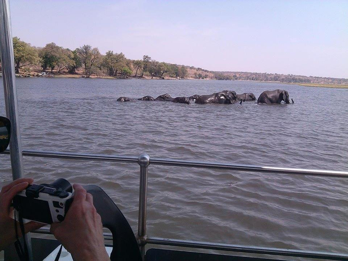 Others 4, BJ&T Vacation Homes, Chobe