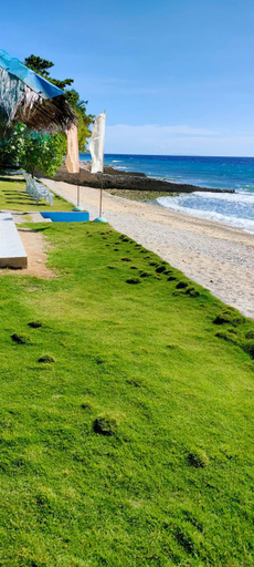 Others 5, Aloha, Oslob