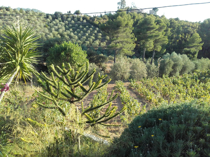 Others 3, La Bastide de l'Oliveraie, Var