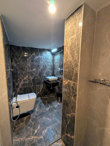 Bathroom 4, The Vibs International, Damoh