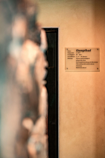 Bathroom 4, Eiger, Interlaken