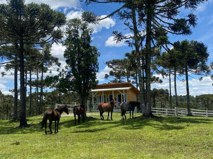 Others 5, Casa e cabana de campo Fazenda Borba, Urubici