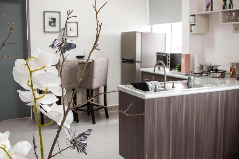 Others 3, Suites Andre Confort Ejecutivo, Aguascalientes