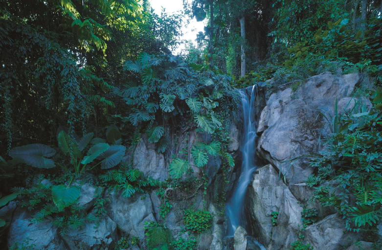 Scenery