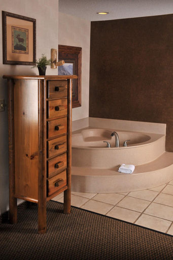 Bathroom 4, Stoney Creek Inn, Buchanan
