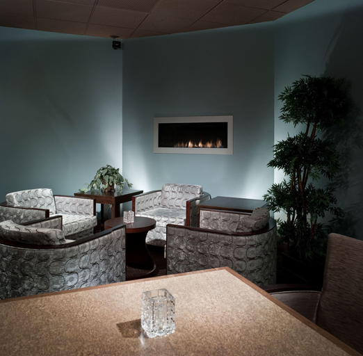 Public Area 3, The Madison Concourse Hotel and Governor's Club, Dane
