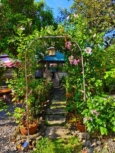 Others 3, Monte Rio Gardens Bed & Breakfast, Alaminos City