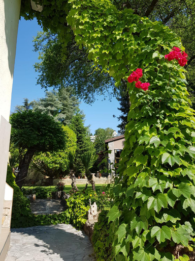 Others 2, Guest Rooms Flirt, Varna
