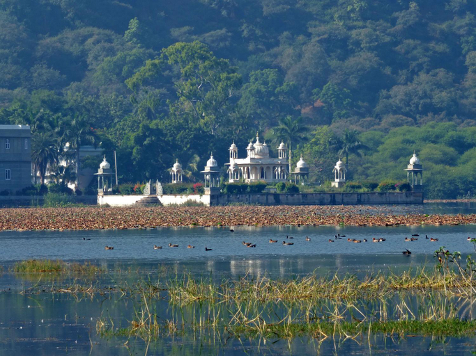 Others 3, Hotel Udai Bilas Palace-Dungarpur, Dungarpur