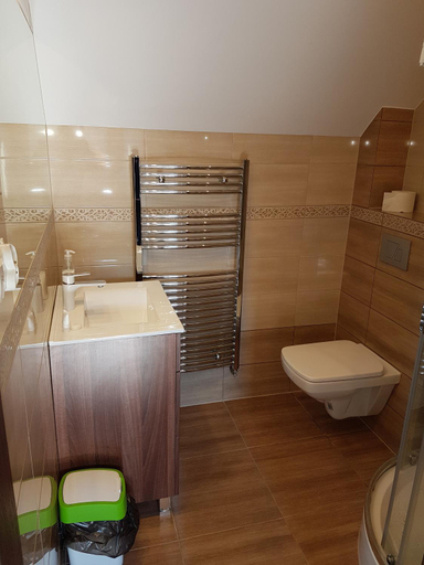 Bathroom 3, Sarna Karkonosze, Jelenia Góra