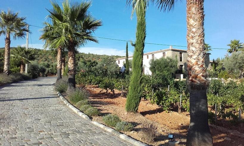 Others 4, La Bastide de l'Oliveraie, Var