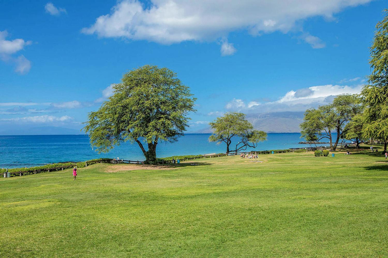 Others 5, Maui Parkshore 307 - Stunning Remodel, Ocean Views, Maui