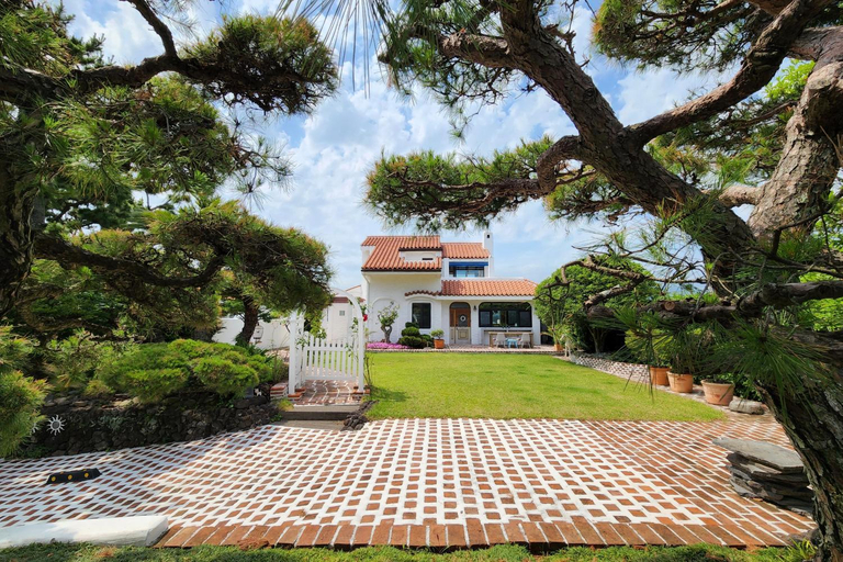 Others 5, Palm Tree Villa, Seogwipo