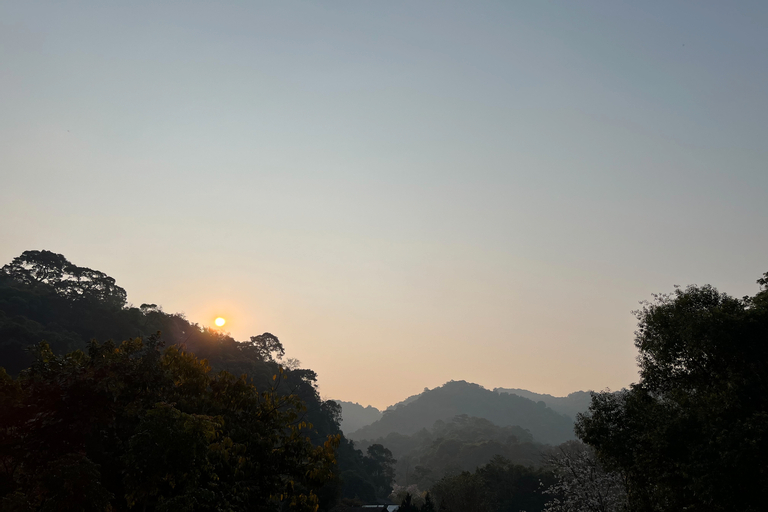 Scenery 20