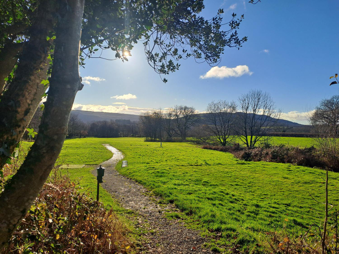 Others 5, Celtic Minor Cottage, Powys
