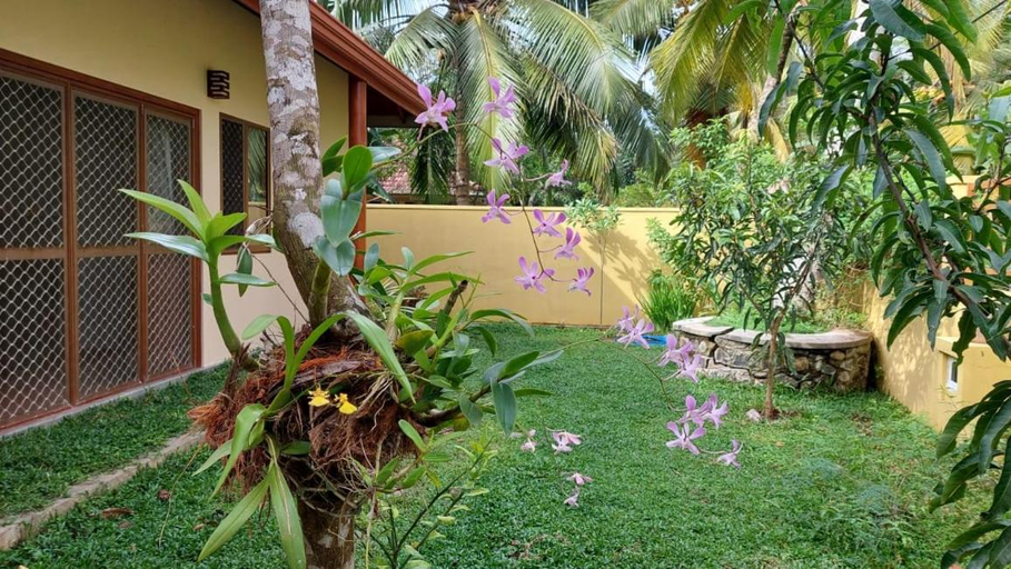 Others 5, El-Nivasa Homestay in Weligama, Weligama