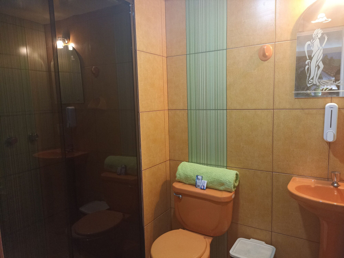 Bathroom 5, RIXAA Hotel, Pedro Domingo Murillo